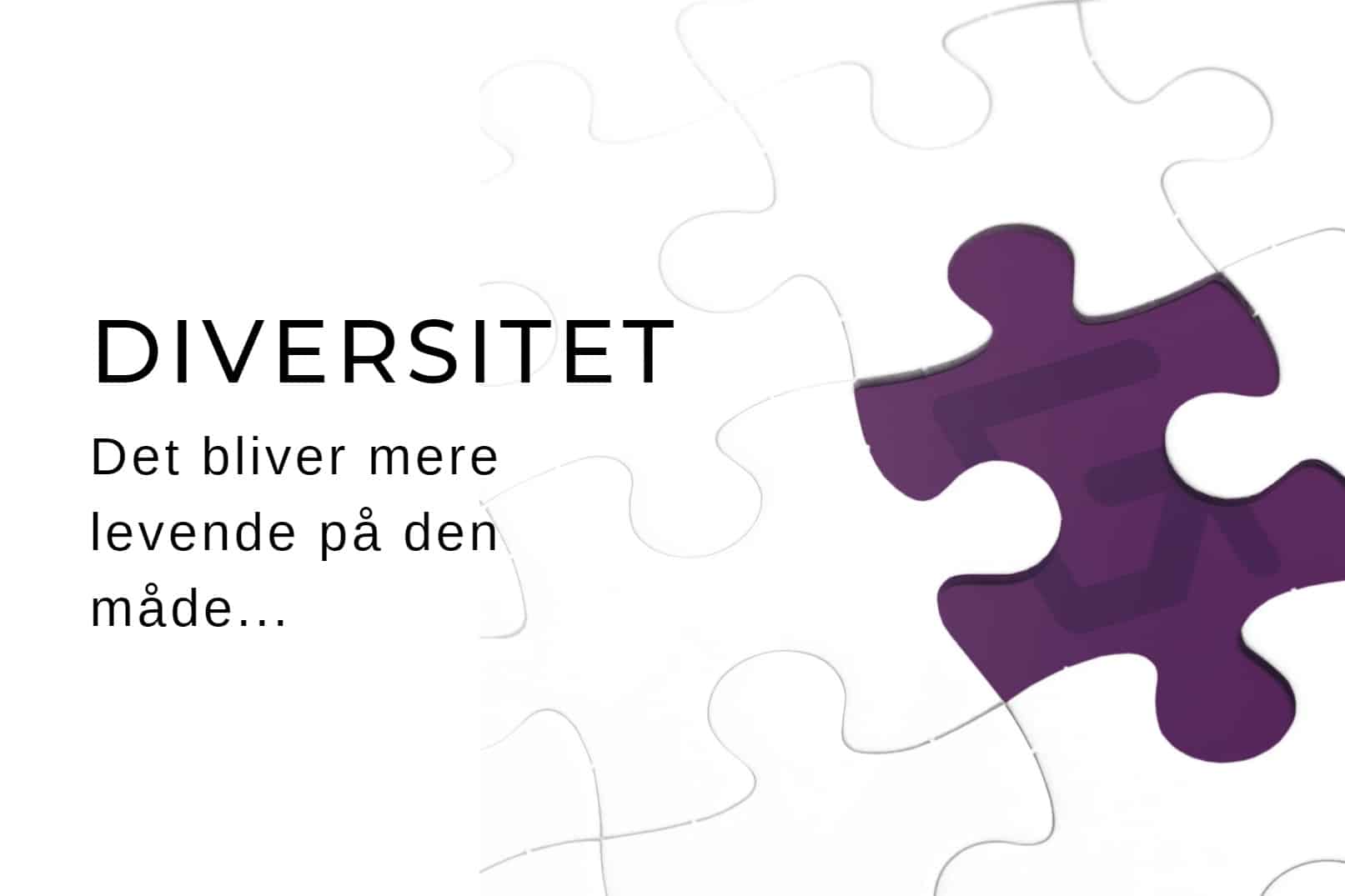 Grandelag og Diversitet i bestyrelsen